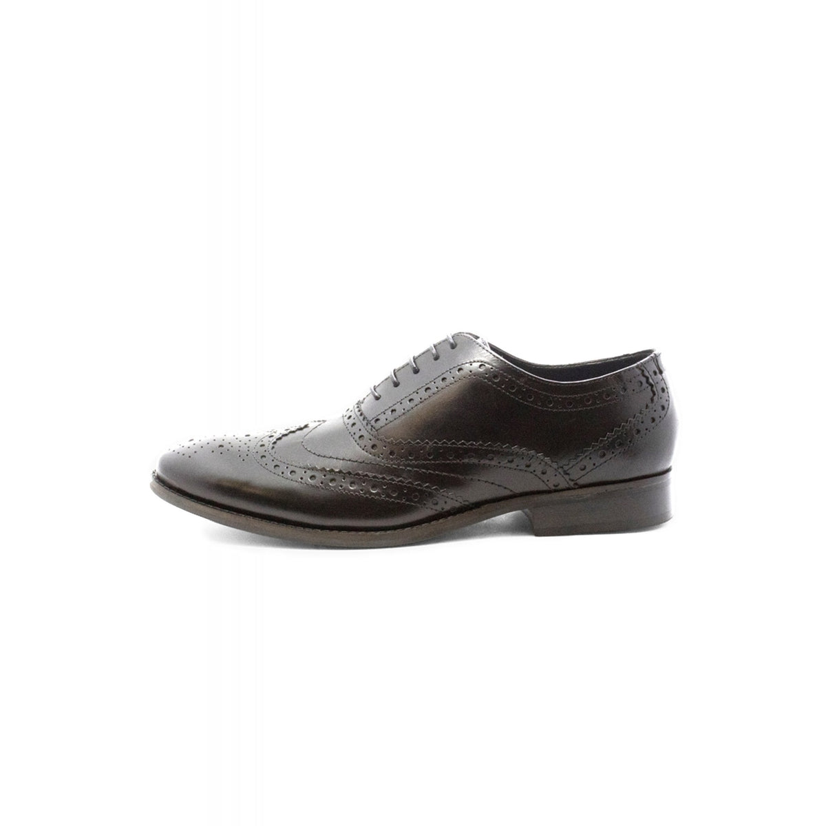 Front Diego Leather Brogue Punch Lace Shoe