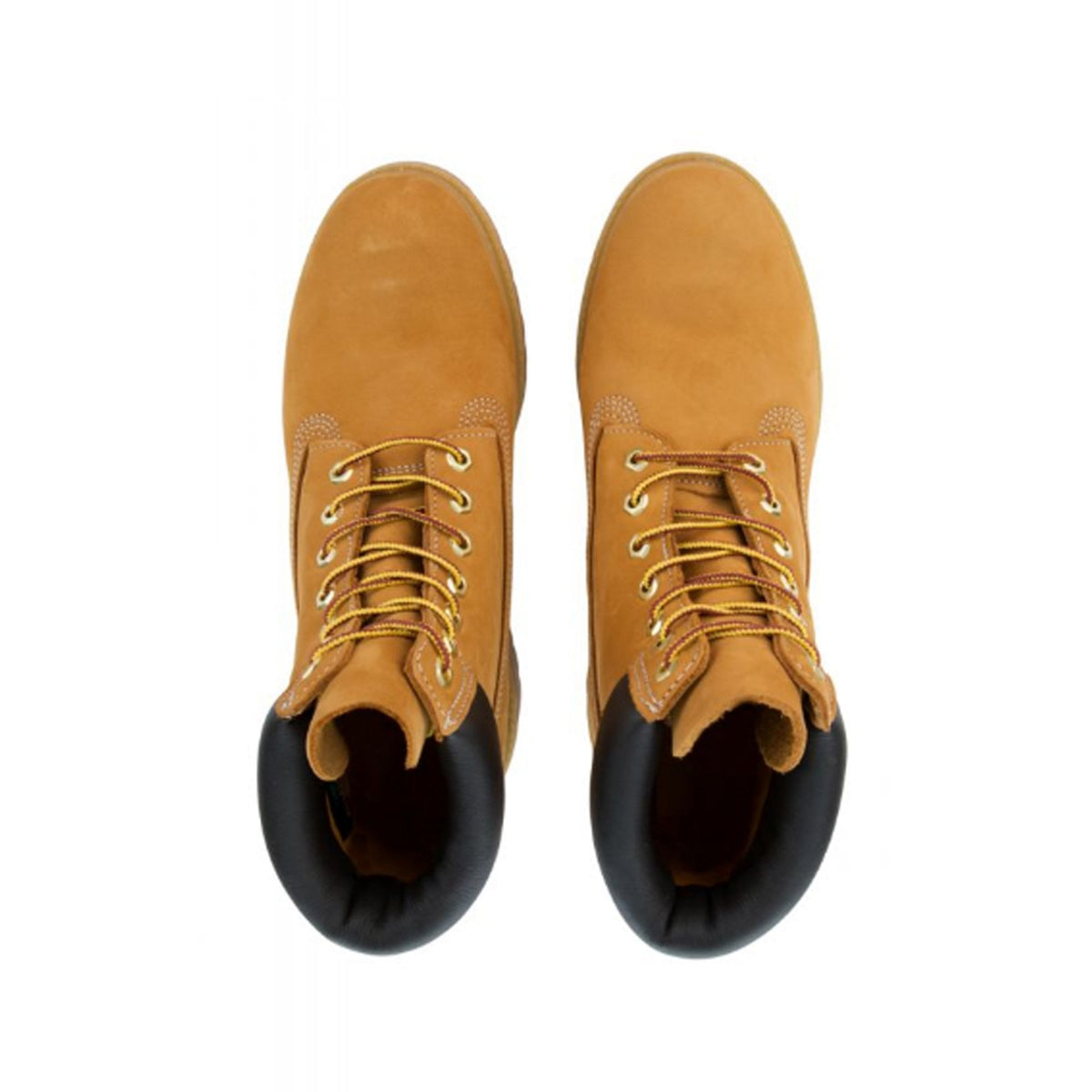 Timberland TB010061 6 Inch Premium Waterproof Boot - Wheat