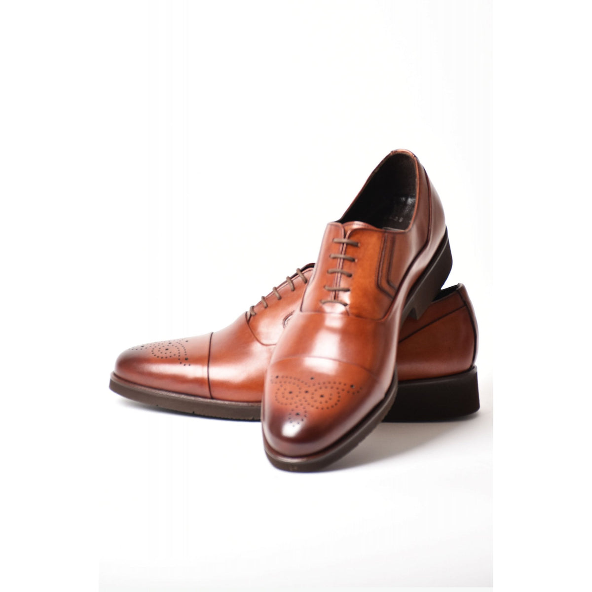 Paul Branco | M-24747 Leather Wingtip Oxford Lace Formal Shoe