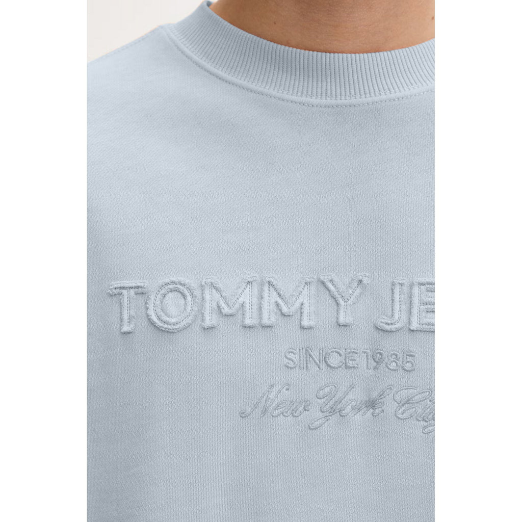 Tommy Jeans | DM22714 Subtle Logo Crew Sweat Top - Sky